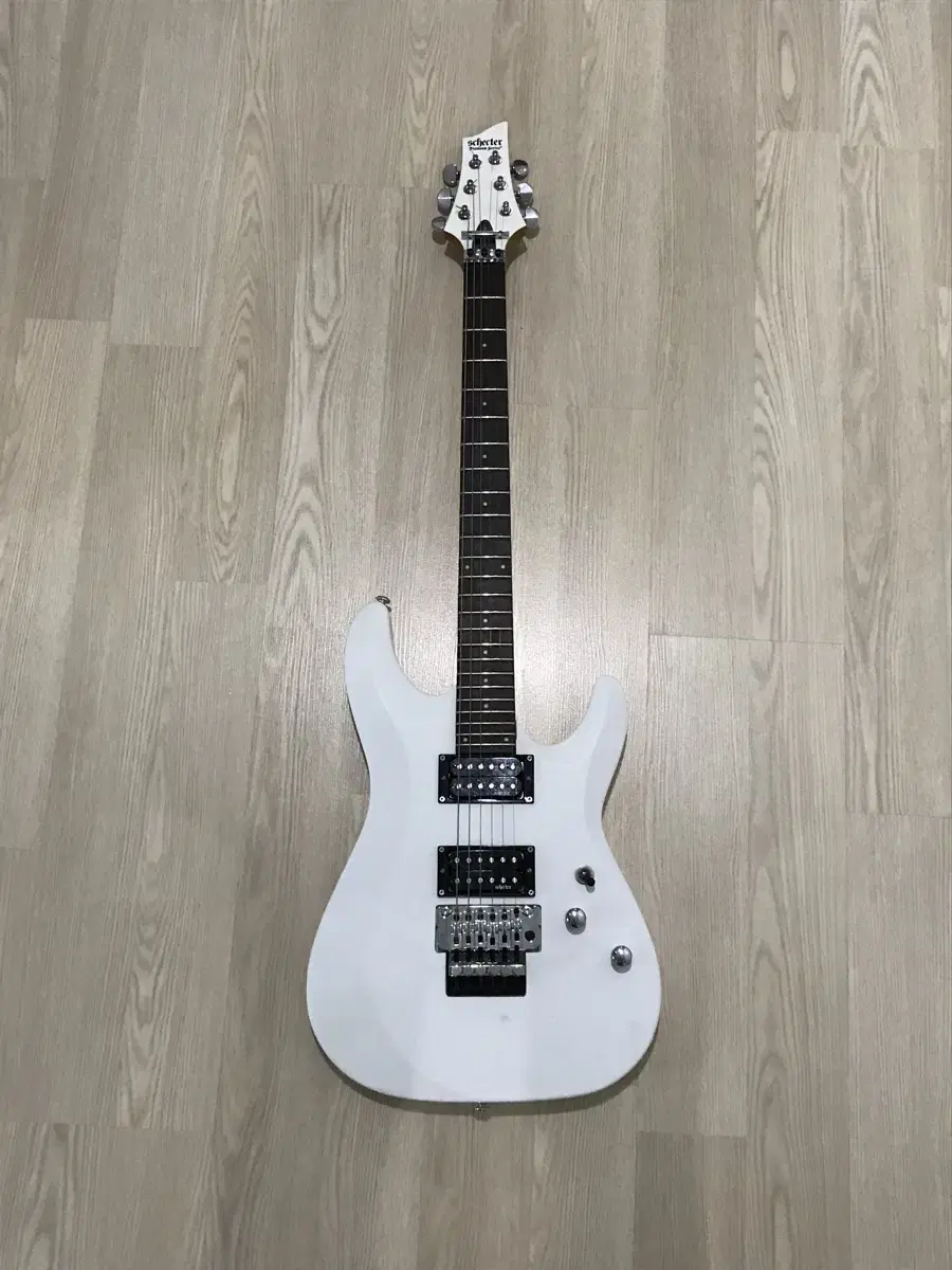 Schecter C6